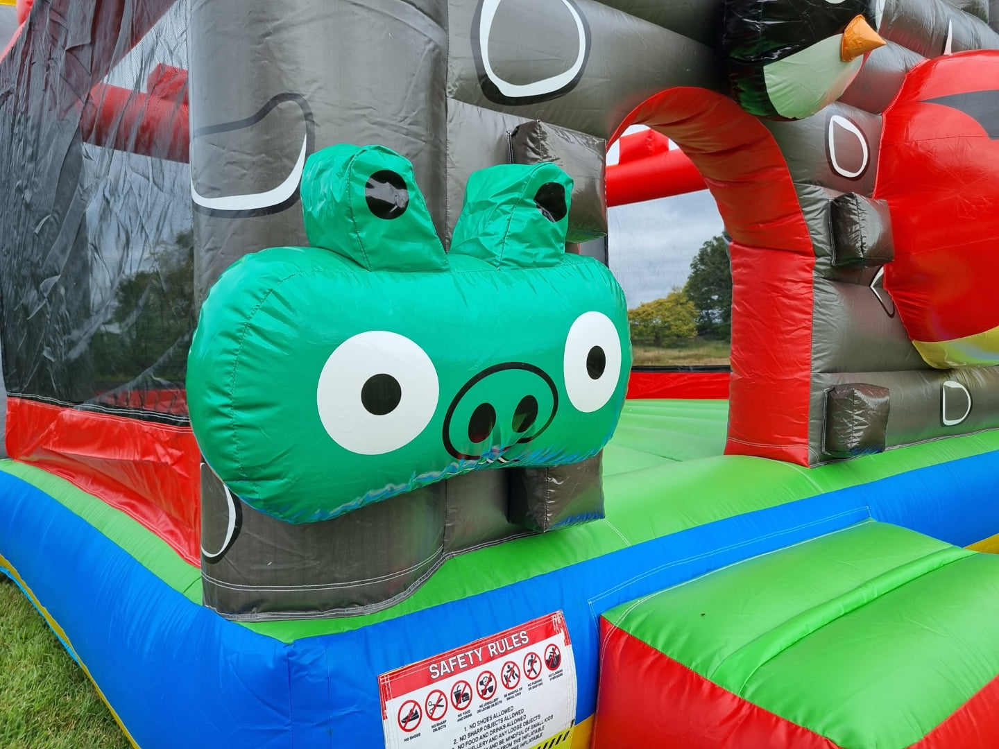 Angry birds insitu image 5