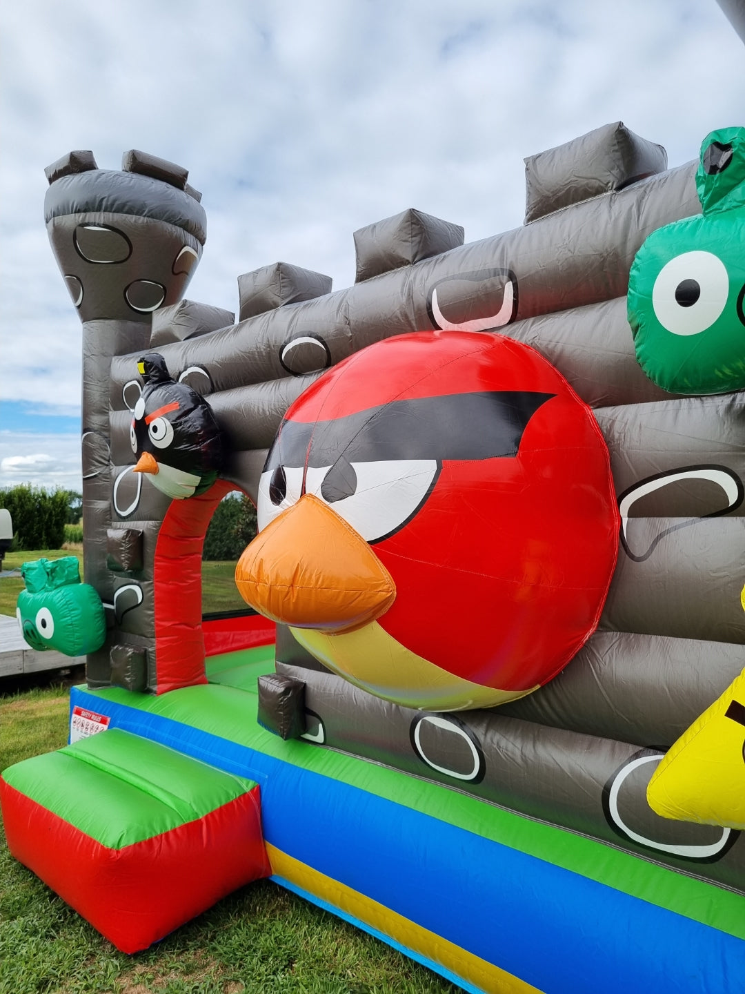 Angry birds insitu image