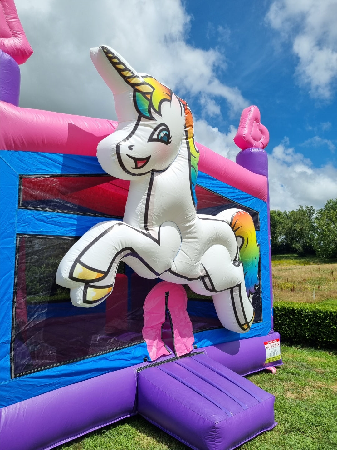 Unicorn Leap Inflatable Castle 5